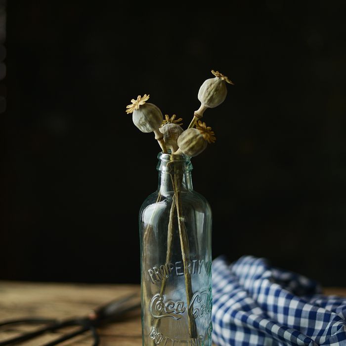 cicekFotografi